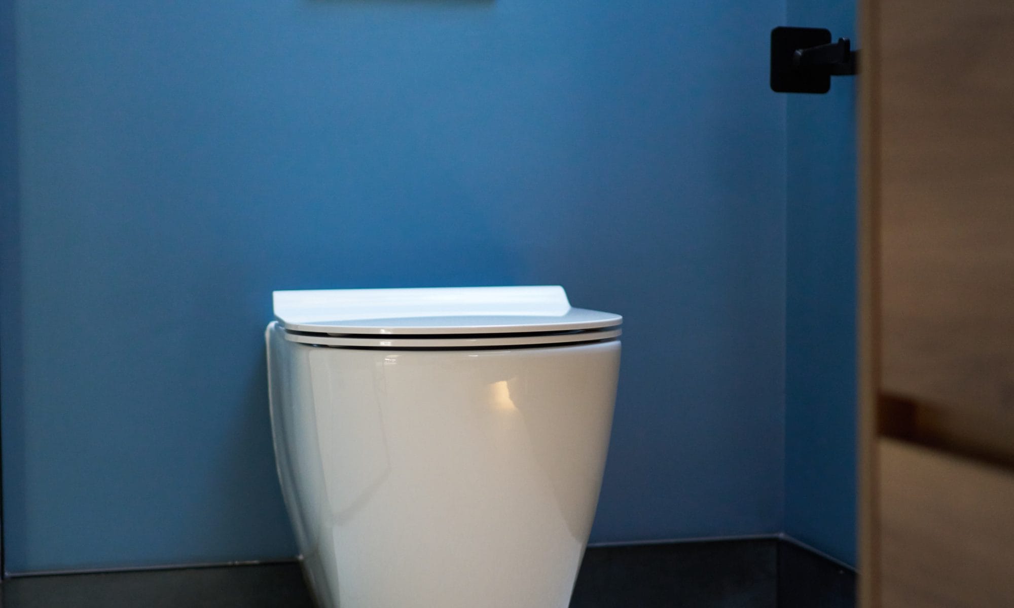 Toilet with black glass flush plate