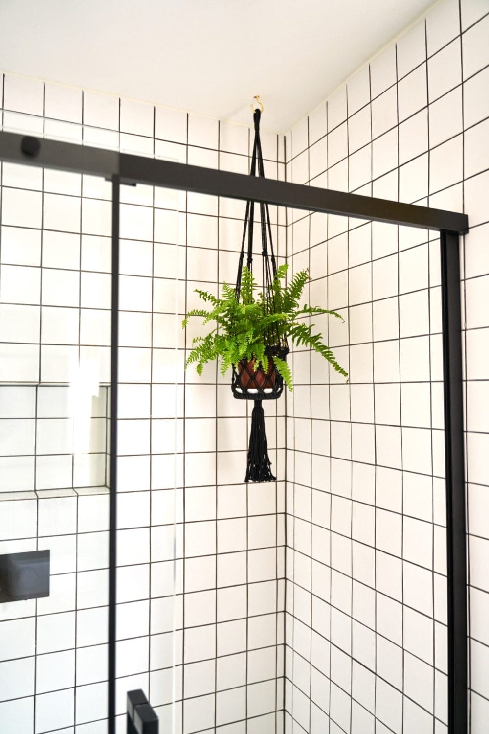 Hanging plant in a modern shower with white grid tiles and black shower frame.